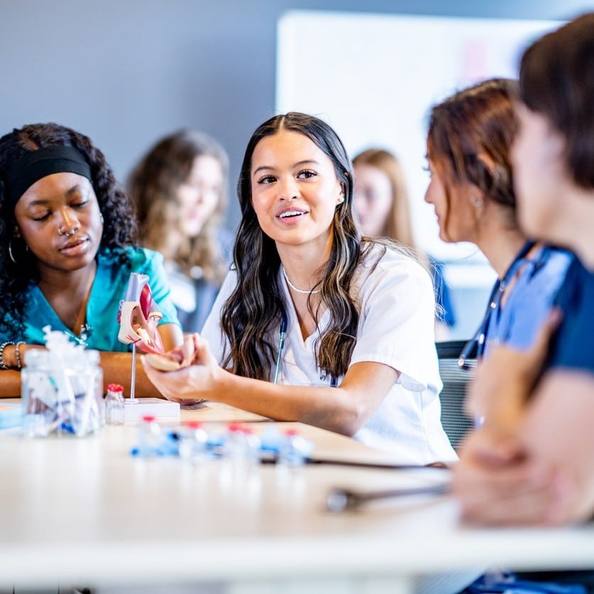 Learning About the Heart